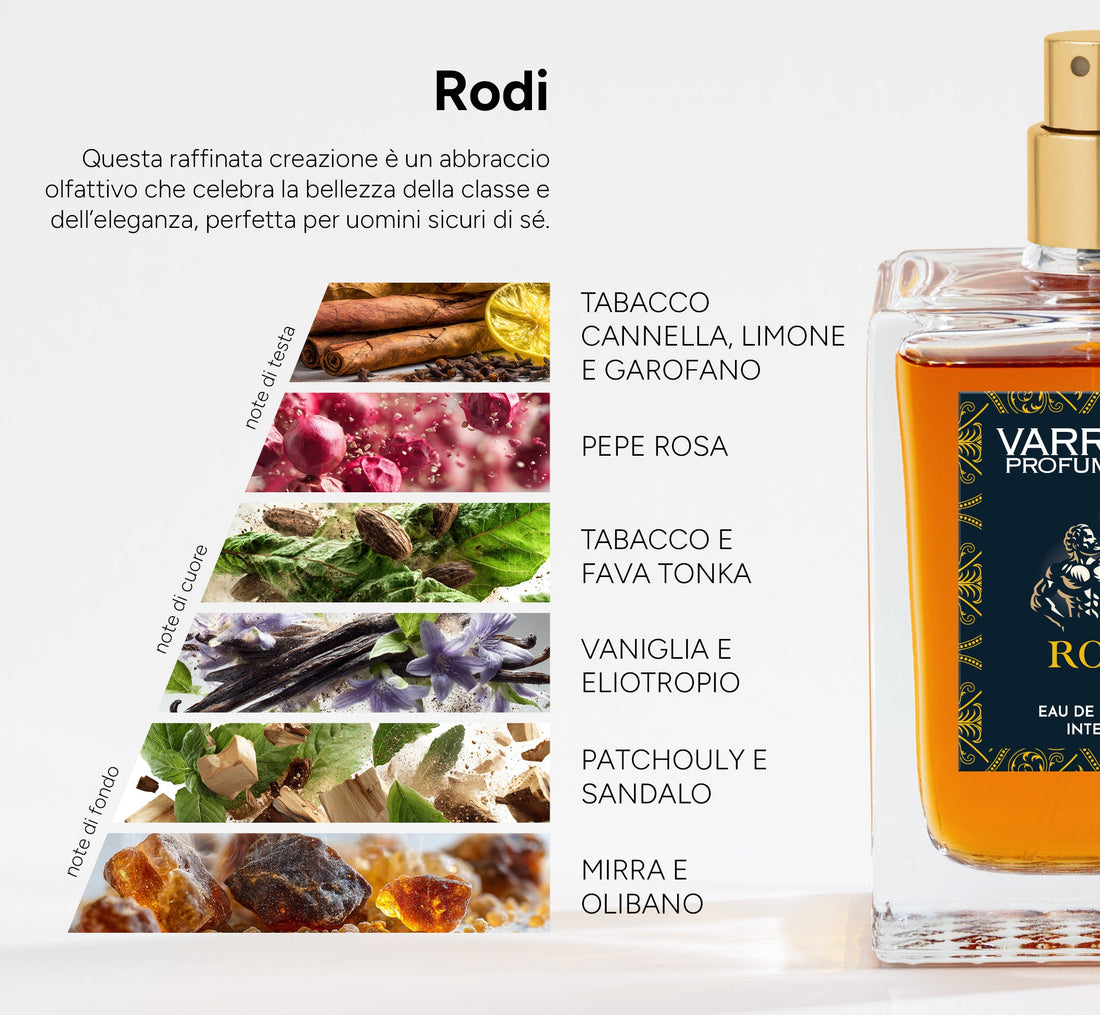 Rodi